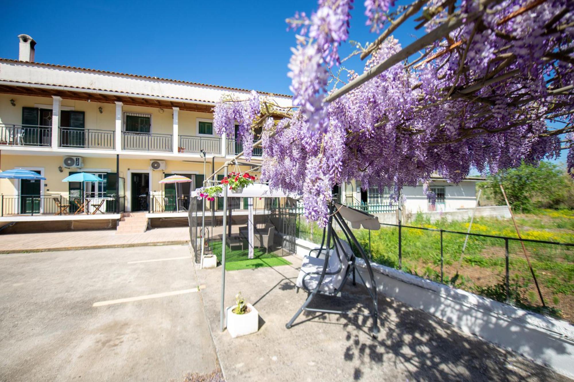 Ionian Luxury Apartments Perama  Exterior foto